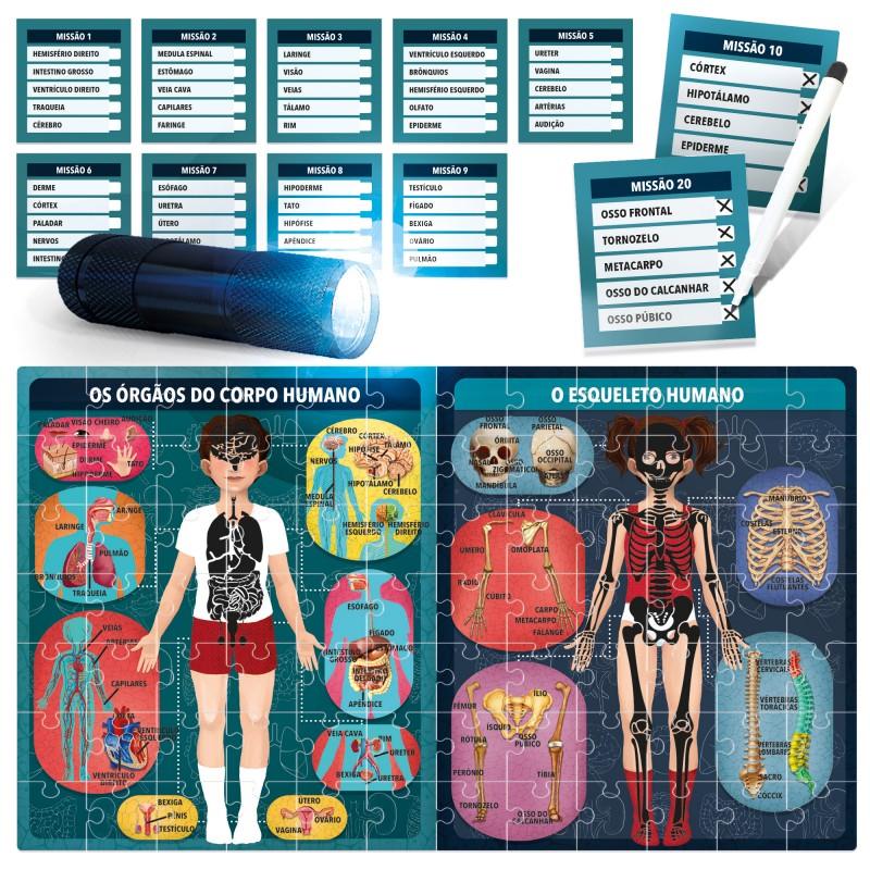 corpo humano ao raio-x