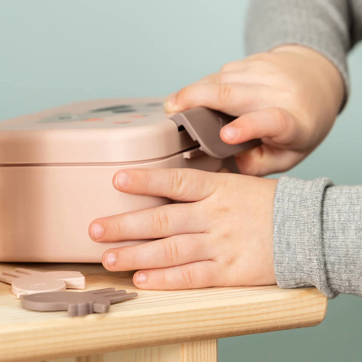Caixa de snacks com mini garfo, Tiny Farm Powder
