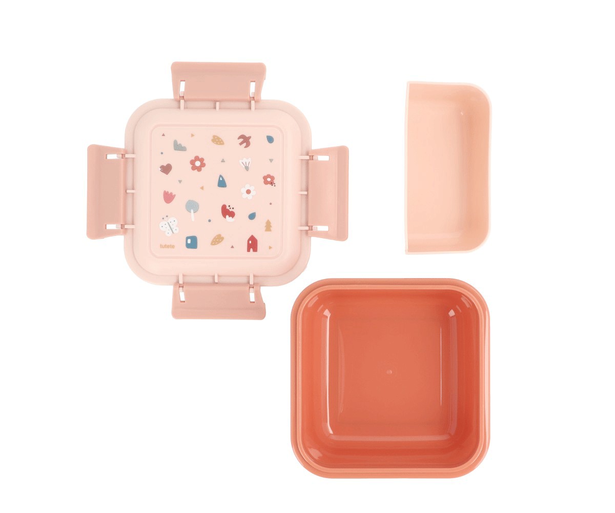 Caixa de Snacks Grande, Geometric Nature