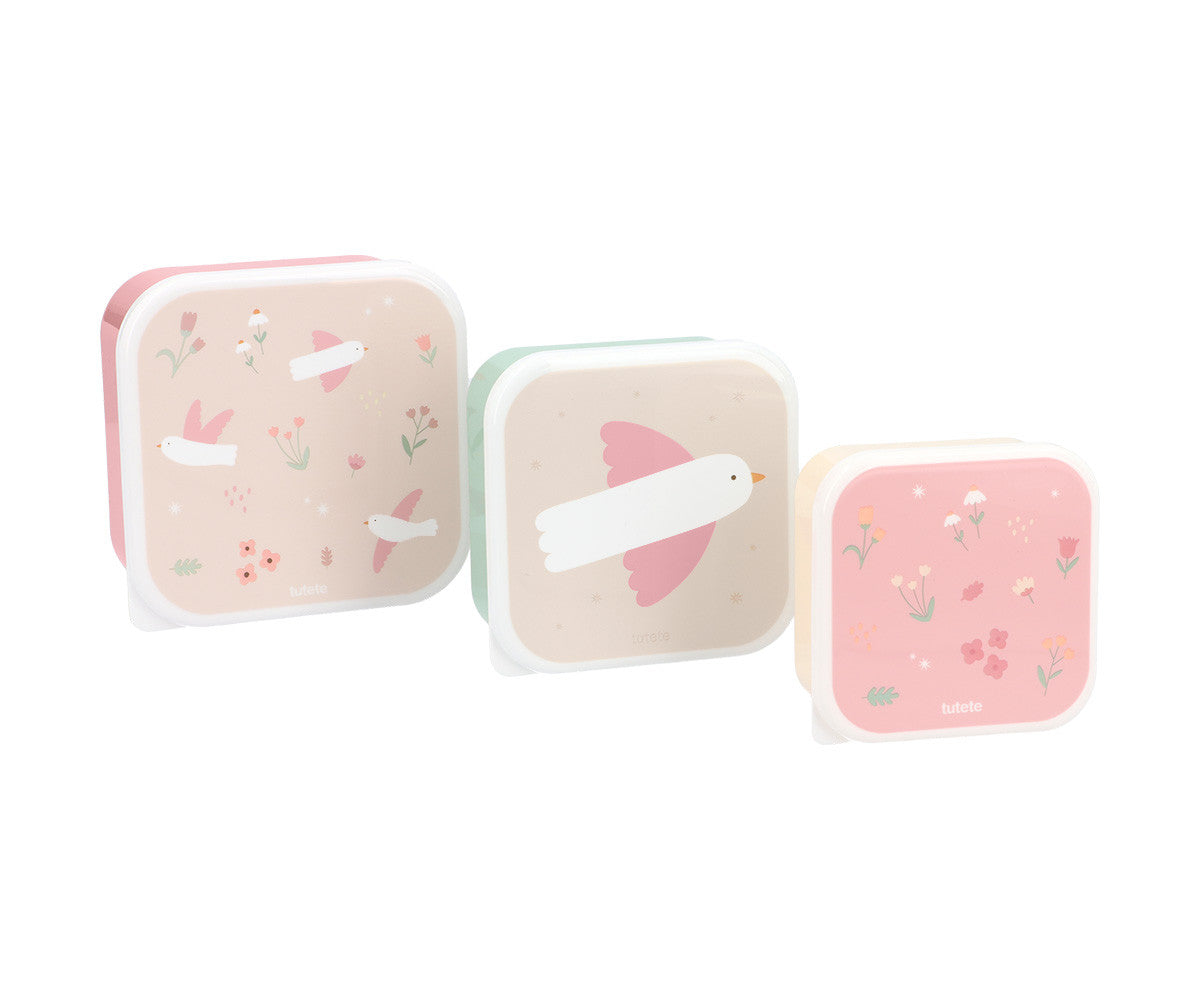 Caixa de Snacks, Blossom Birds