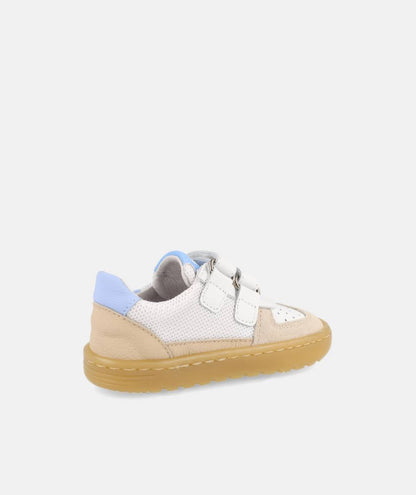 Blanditos Caicos BA 26V