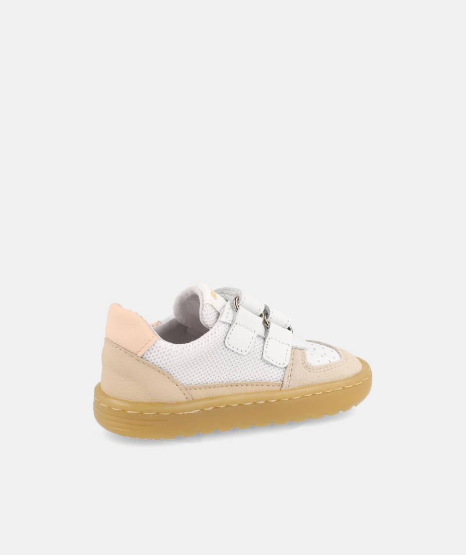 Blanditos Caicos BR 26V