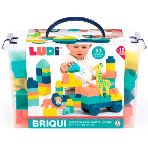 Briqui - Veículo com Blocos de Construção 12m+