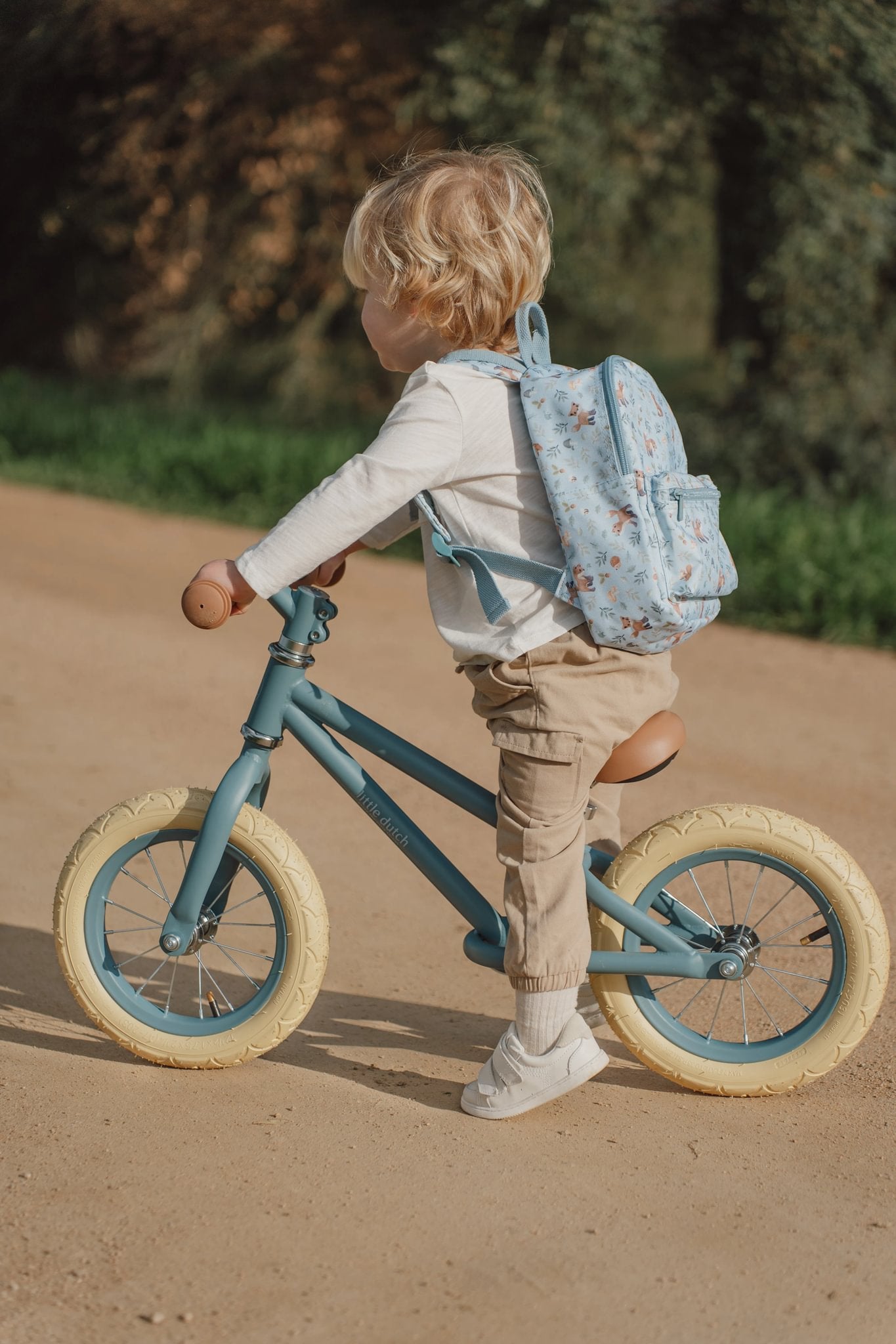 Bicicleta de Equilíbrio, Azul