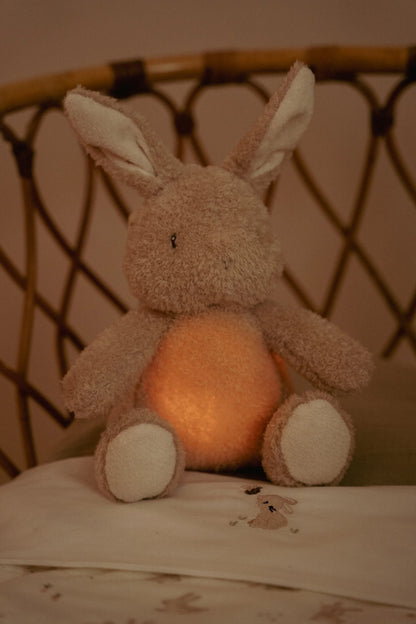 Cuddle Bunny Light & Sound GRS, Little Dutch