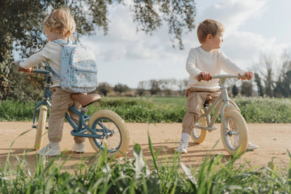 Bicicleta de Equilíbrio, Azul